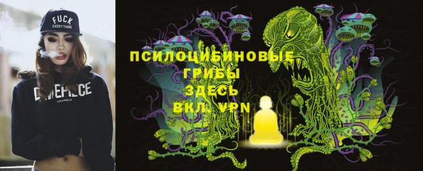эйфоретик Сафоново